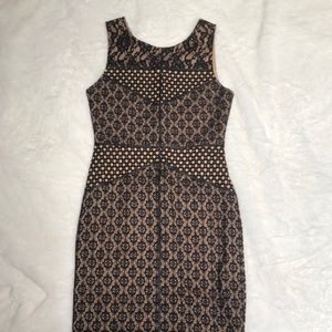Lace body con dress. Only worn once!